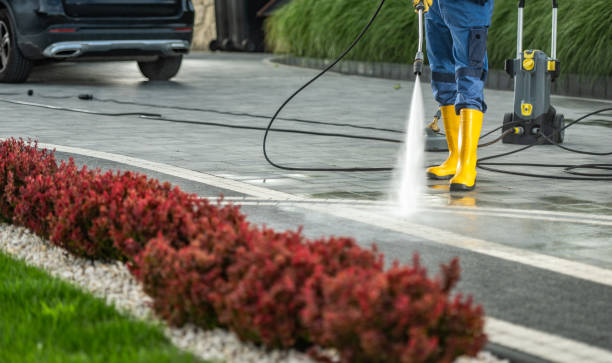 Professional Pressure Washing Services in Chester, VA